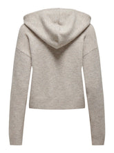 Load image into Gallery viewer, HOODIE JDY 15314870