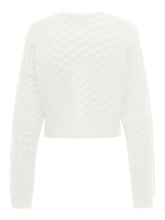 Load image into Gallery viewer, SWEATER ONLY 15335109