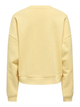 Load image into Gallery viewer, SWEATSHIRT ONLY 15338727