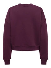 Load image into Gallery viewer, SWEATSHIRT ONLY 15338727