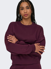 Load image into Gallery viewer, SWEATSHIRT ONLY 15338727