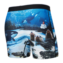 Load image into Gallery viewer, UNDERWEAR SAXX SXBB29 VOLT