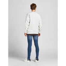 Load image into Gallery viewer, JEANS JACK & JONES 7505