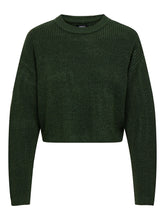 Load image into Gallery viewer, SWEATER ONLY 15284453
