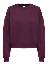 Load image into Gallery viewer, SWEATSHIRT ONLY 15338727

