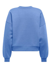 Load image into Gallery viewer, SWEATSHIRT ONLY 15338727
