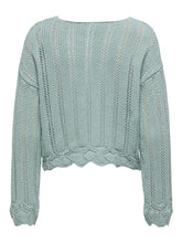 Load image into Gallery viewer, SWEATER ONLY 15339529
