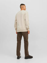 Load image into Gallery viewer, SWEATSHIRT JACK &amp; JONES 12249341
