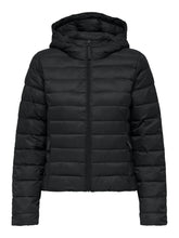 Load image into Gallery viewer, JACKET ONLY 15352020
