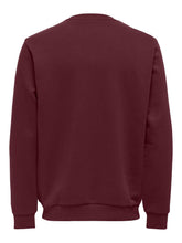 Load image into Gallery viewer, SWEATSHIRT ONLY&amp;SONS 22018683
