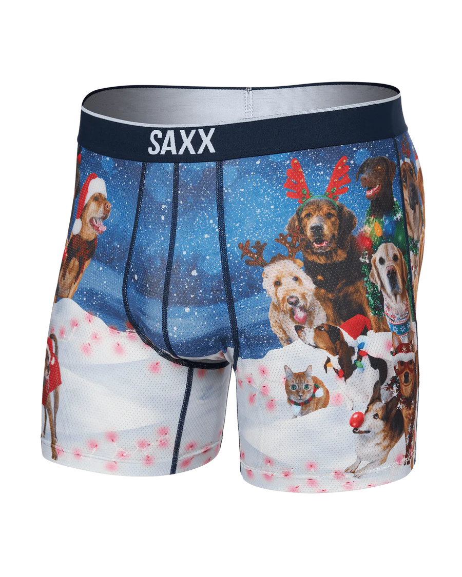 UNDERWEAR SAXX SXBB29 VOLT